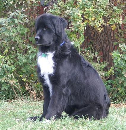 All grown up, October 2006 